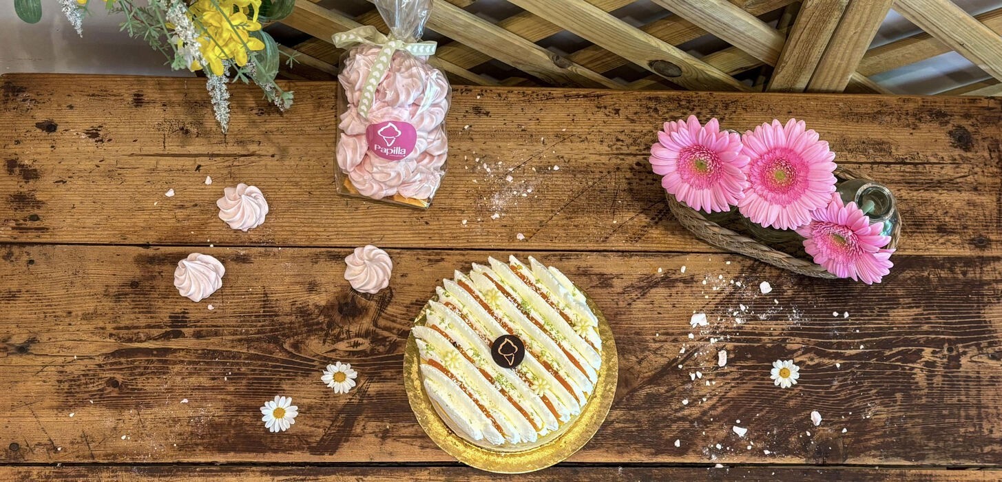Découvrez nos pâtisseries qui vont faire fondre vos papilles !